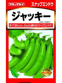 エンドウ種子　えんどう　ジャッキー