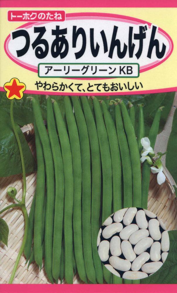 インゲン種子　つるありいんげんＫＢ