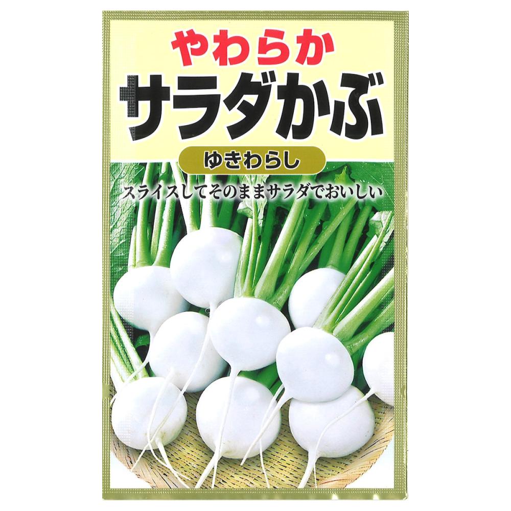 カブ種子　やわらかいサラダかぶ