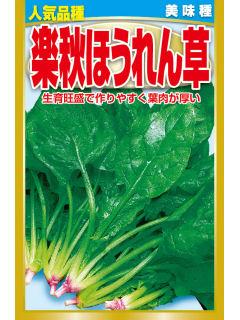 楽秋ほうれん草