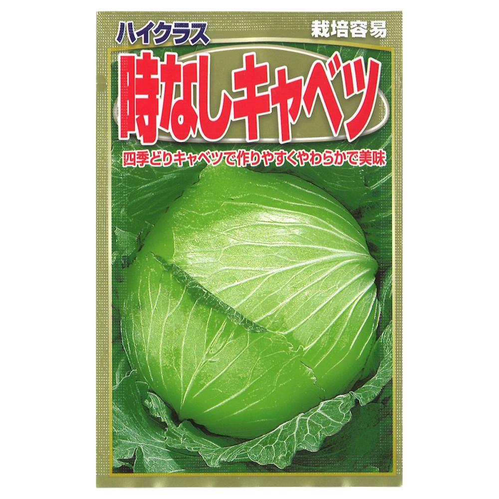 キャベツ種子　ときなし甘藍