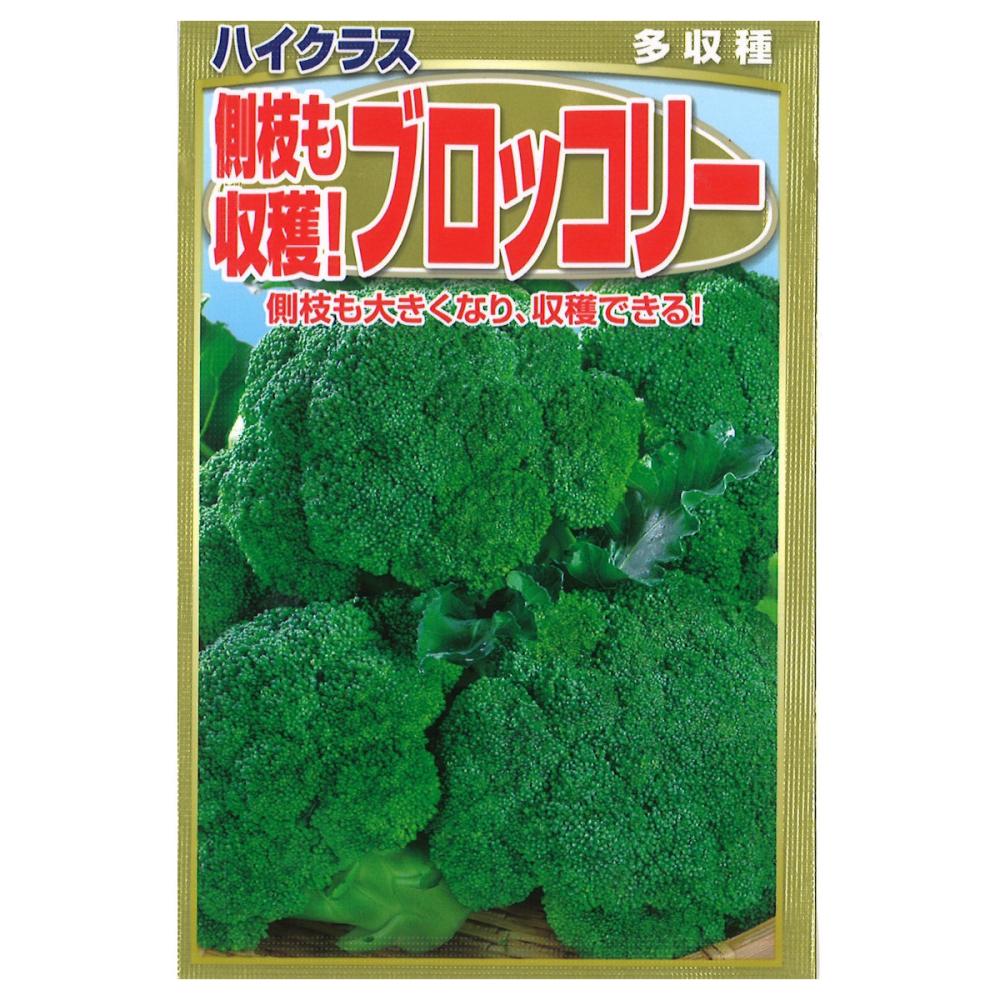 ブロッコリー種子　側枝も収穫ブロッコリー