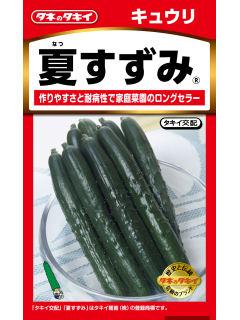 キュウリ種子　夏すずみ