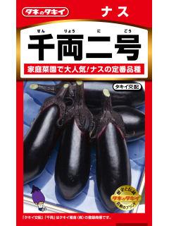 ナス種子　千両二号