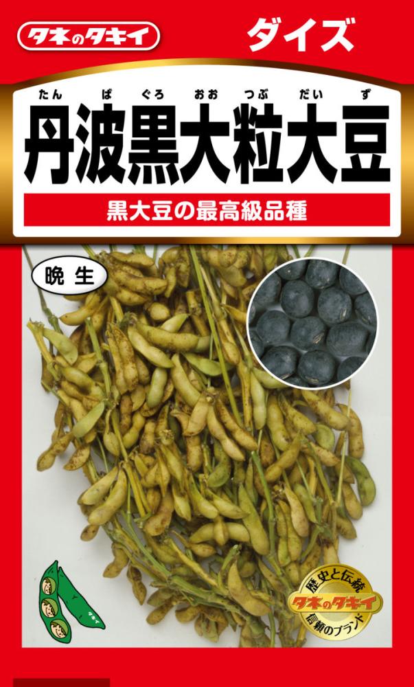 大豆種子　丹波黒大粒大豆