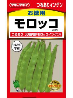 インゲン種子　つるありモロッコ（徳用）