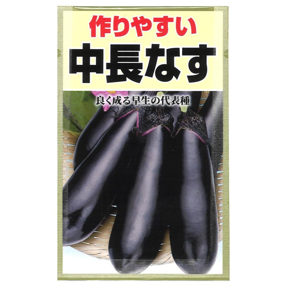 ナス種子　　中長なす