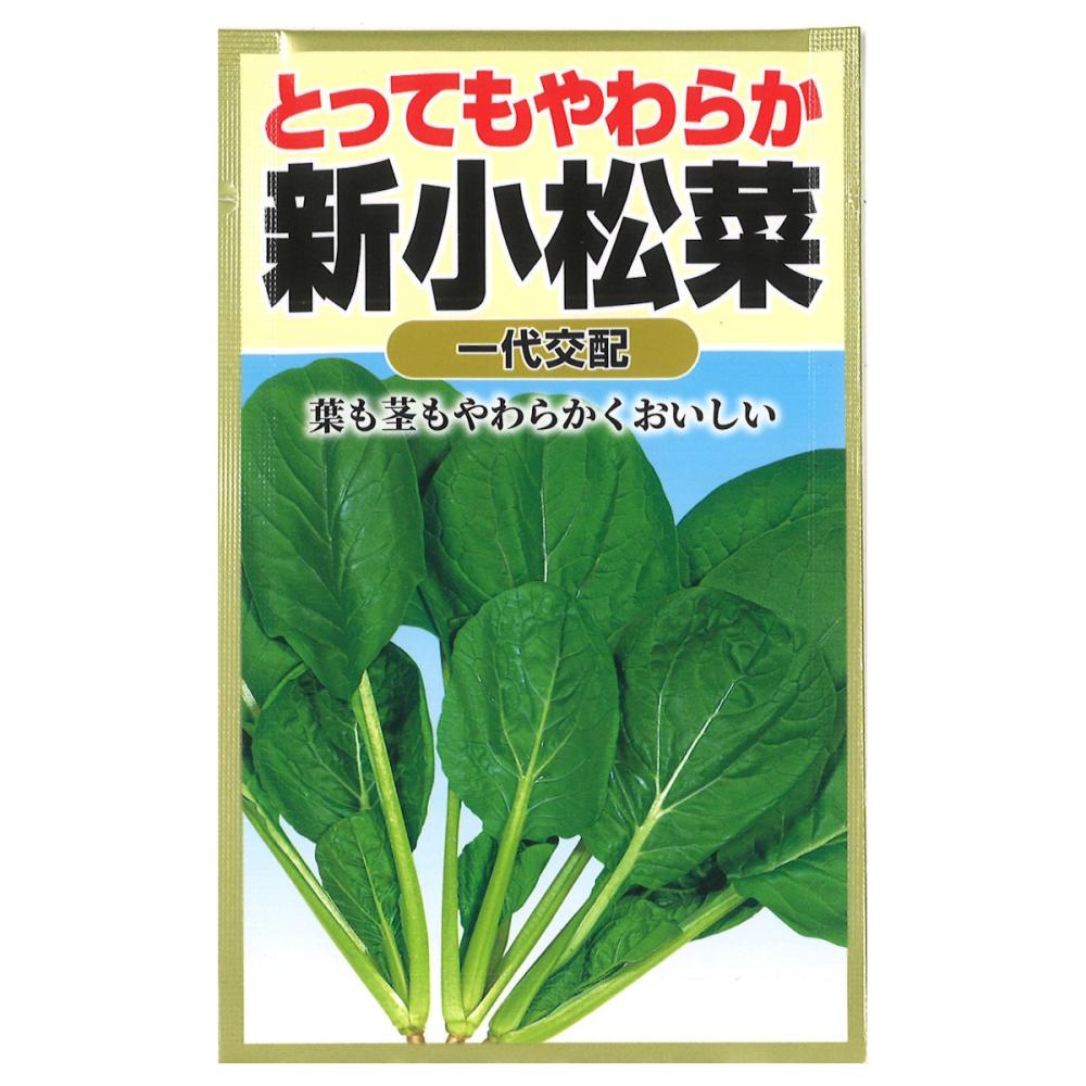 コマツナ種子　やわらか小松菜