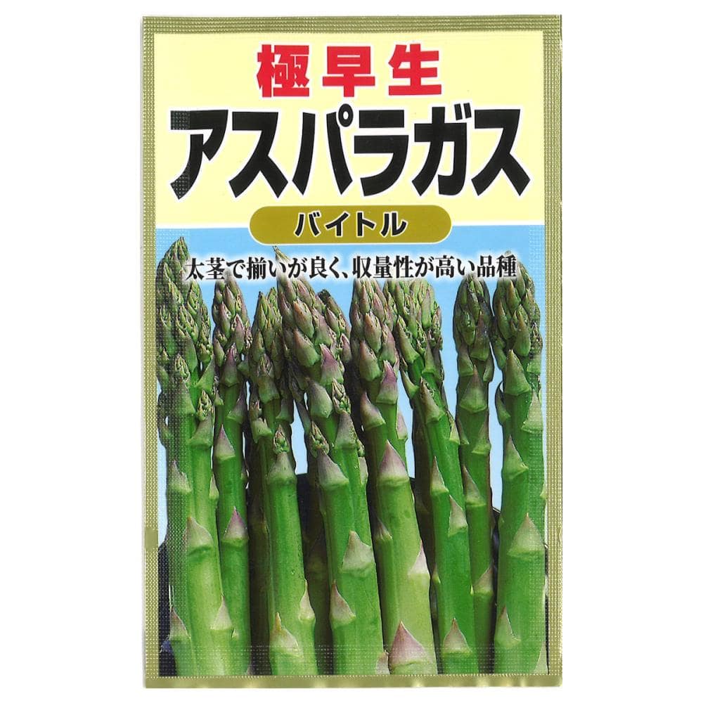 アスパラガス種子　　アスパラガス　スーパーストロング