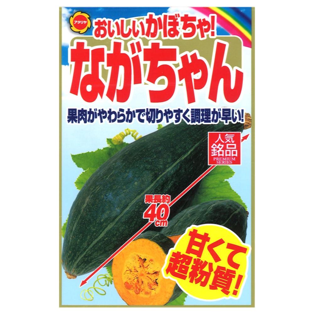 カボチャ種子　おいしいかぼちゃ！ながちゃん