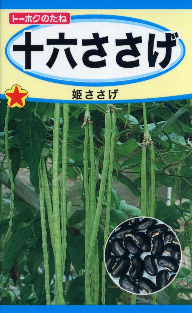 ササゲ種子　十六ささげ