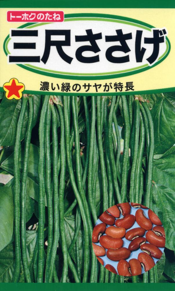 ササゲ種子　三尺ささげ