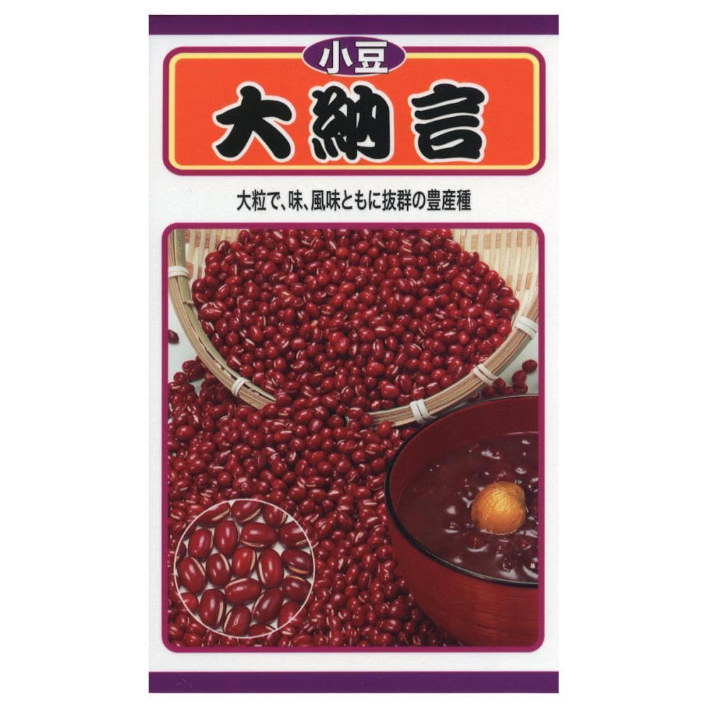 アズキ種子　小豆　大納言
