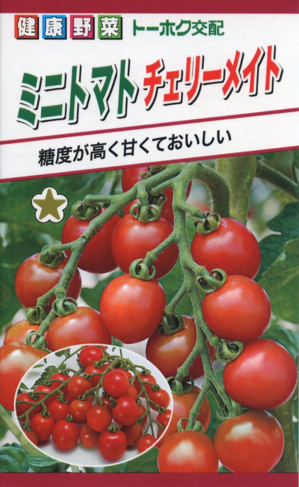 トマト種子　Ｆ１ミニトマト　チェリーメイト
