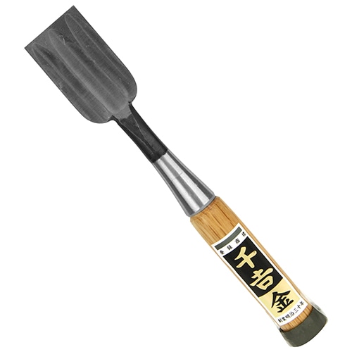 追入のみ　３枚裏　３６ｍｍ