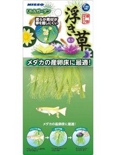 マルカンニッソー　リトルガーデン浮き草ミニ３種アソート