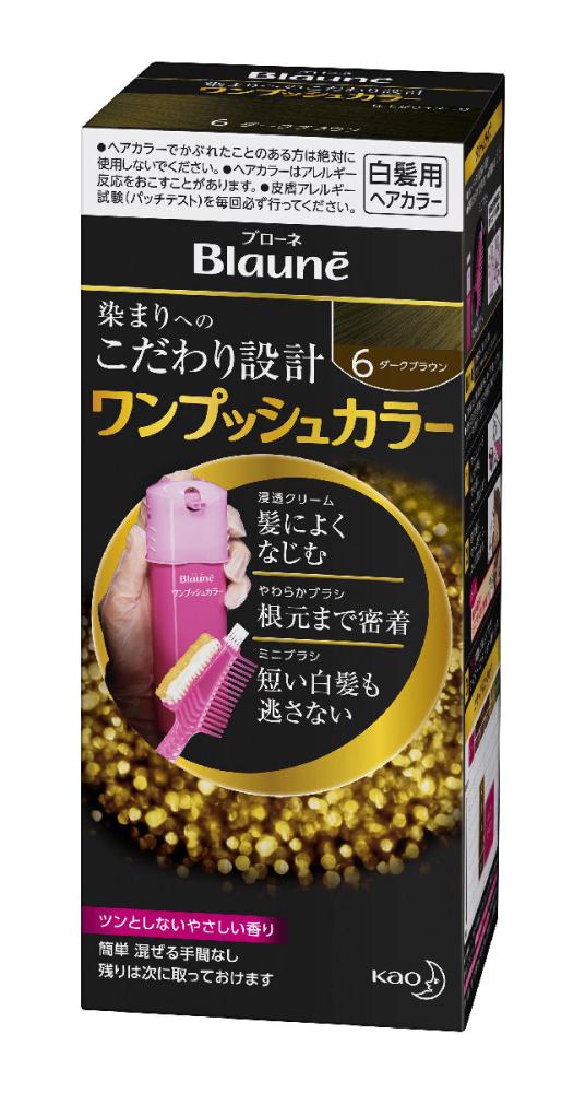 花王　ブローネ　ワンプッシュカラー　６ダークブラウン