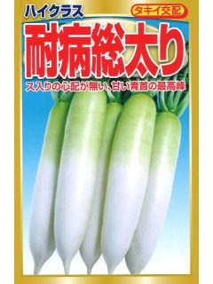 タキイ交配　耐病総太り大根