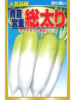 青首宮重総太り大根
