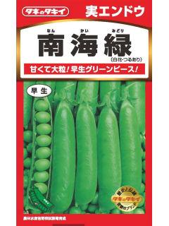 実えんどう　南海緑