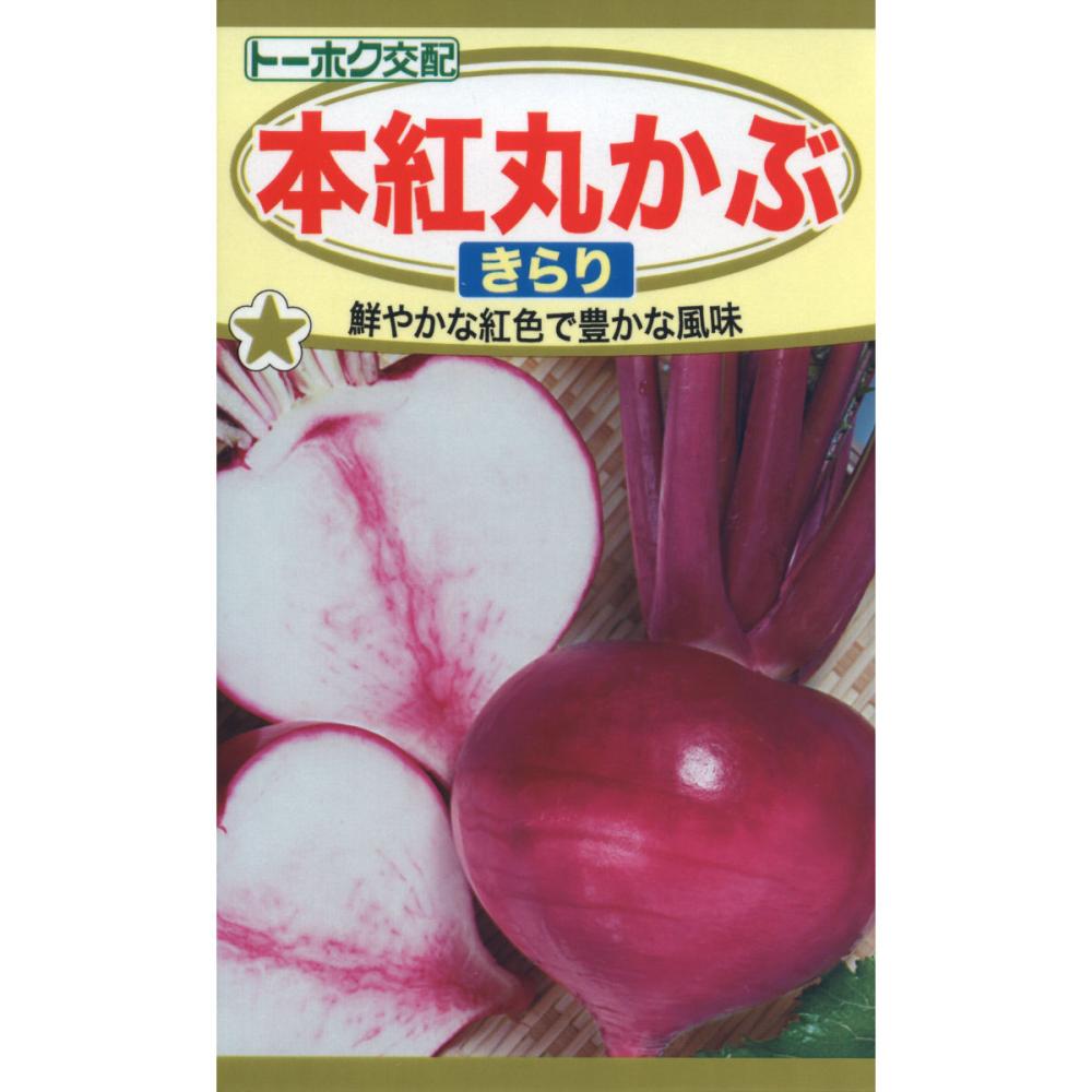 カブ種子　本紅丸かぶ　きらり