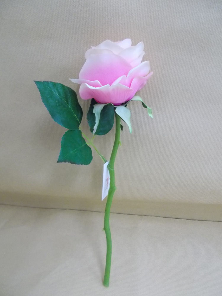 ローズ　ピンク　ＦＦＨ－００１８