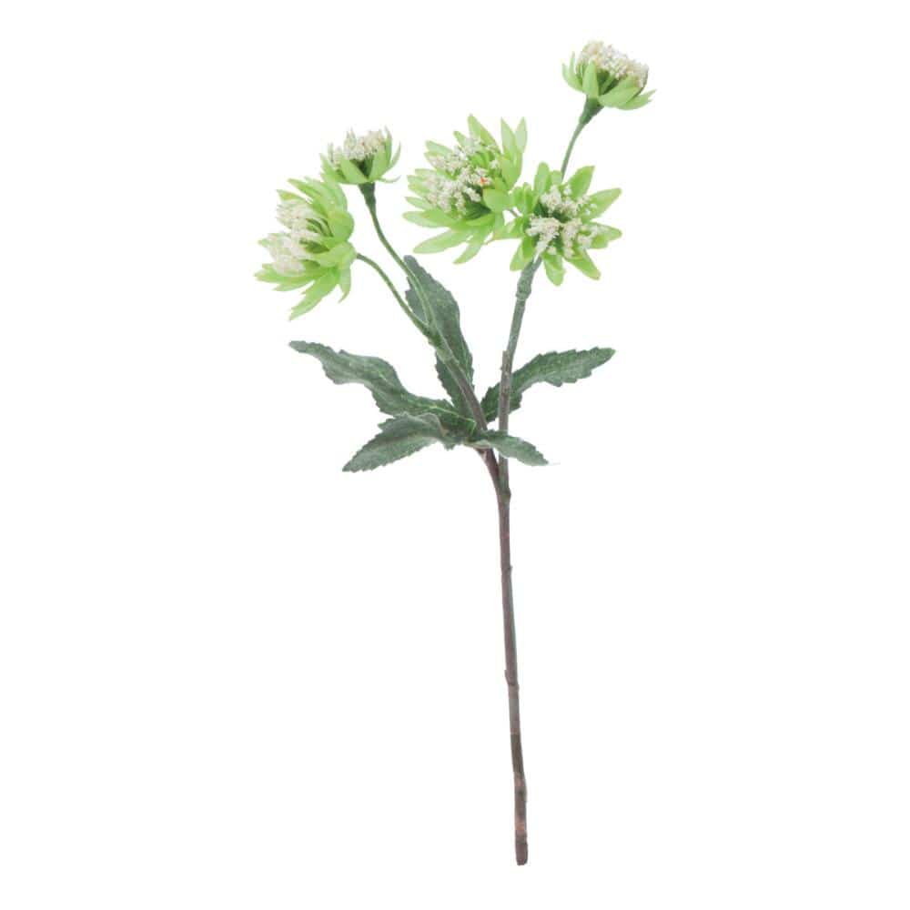 造花　アストランティア