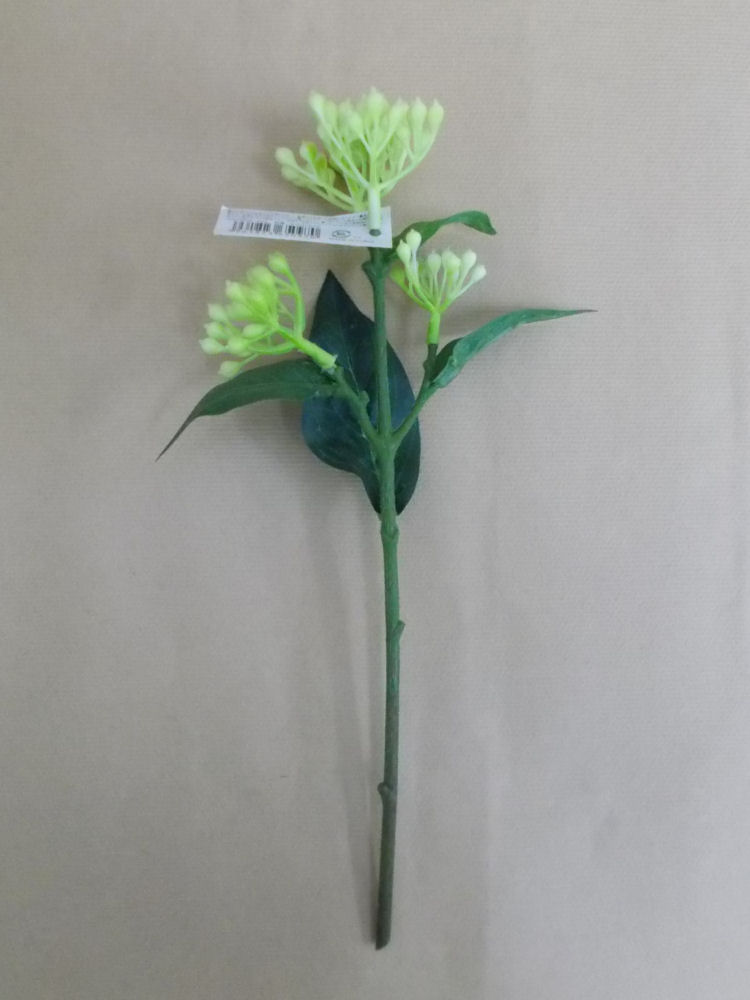 ビバーナムティナス　Ｗ／Ｇ　ＦＧＨ－０００３