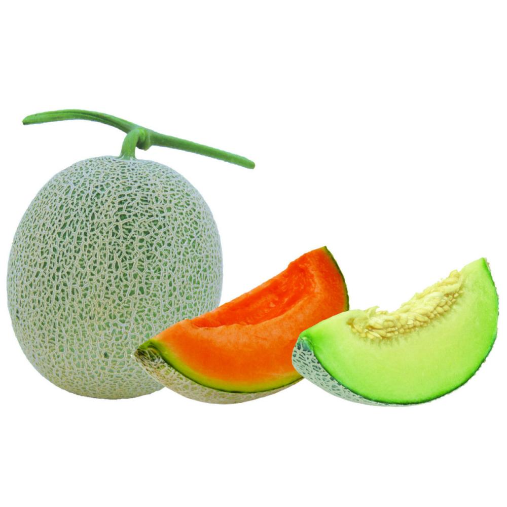 新潟県認証　特別栽培農産物　太田農園メロン”ＧＩＦＴ”　４玉（赤肉・青肉　各２玉）つる有り【注文期限：7月15日】