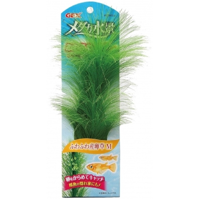 ジェックス（ＧＥＸ）　メダカ水景ふわふわ産卵草　Ｍ
