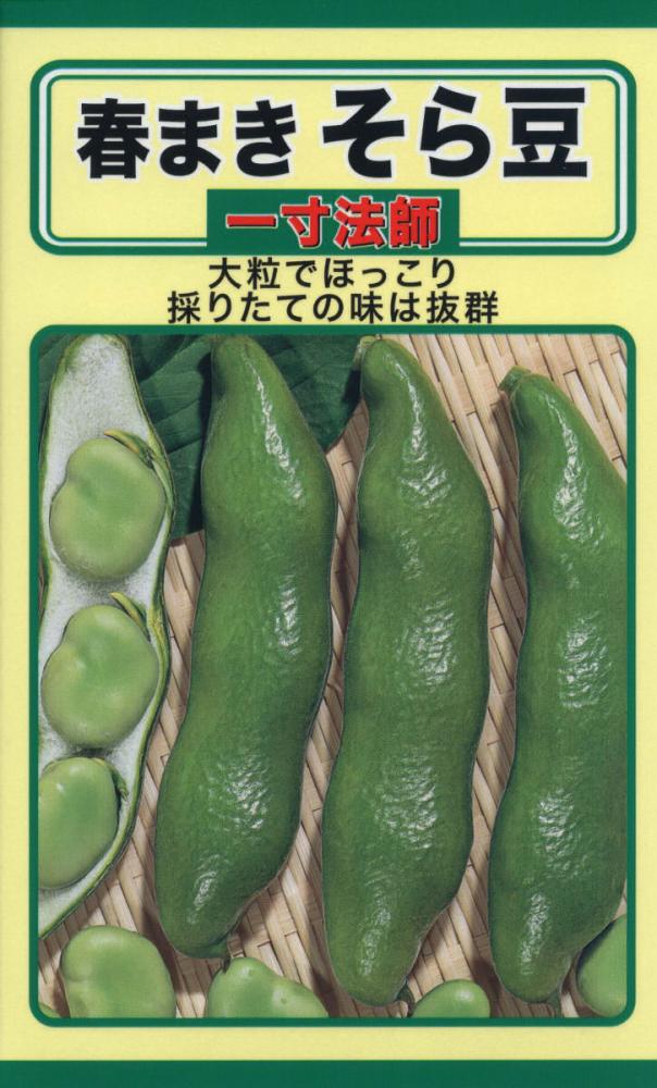 ソラマメ種子　春まき　そら豆　一寸法師