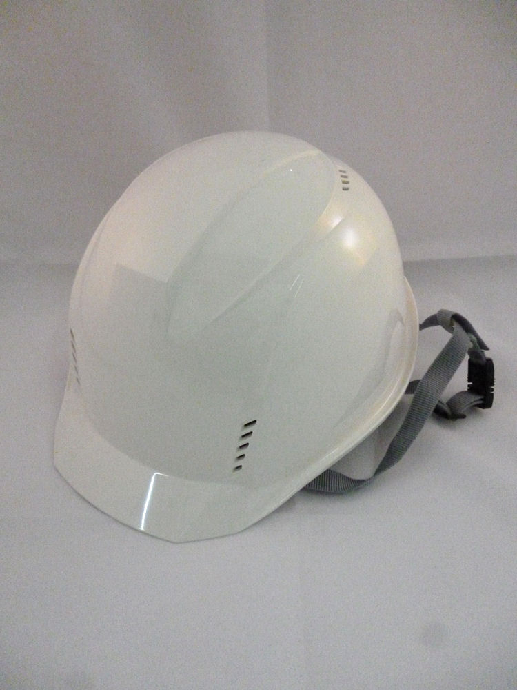 ＤＩＣ　涼神　ＡＡ１６‐ＦＶ　Ｗ