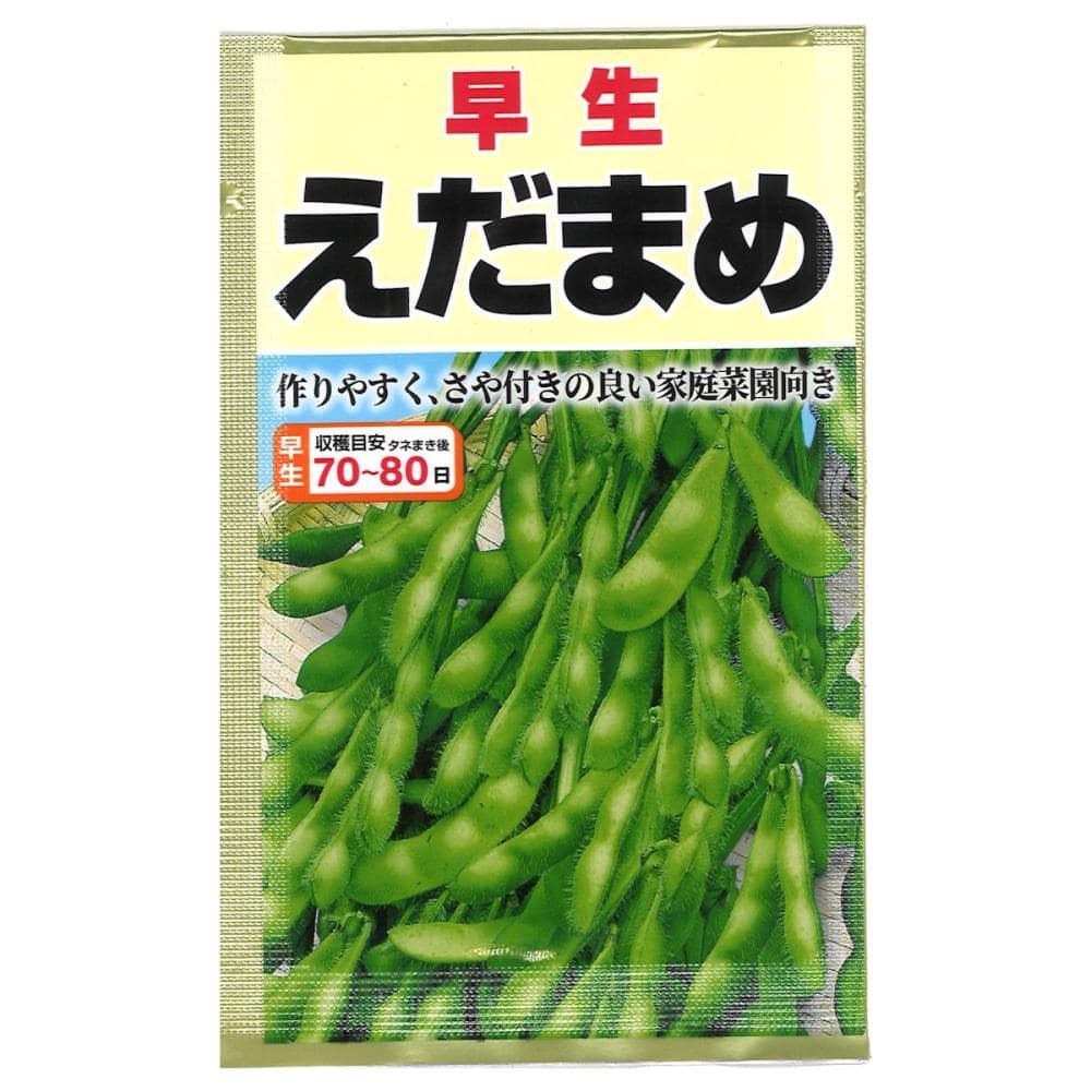 エダマメ種子　　早生枝豆