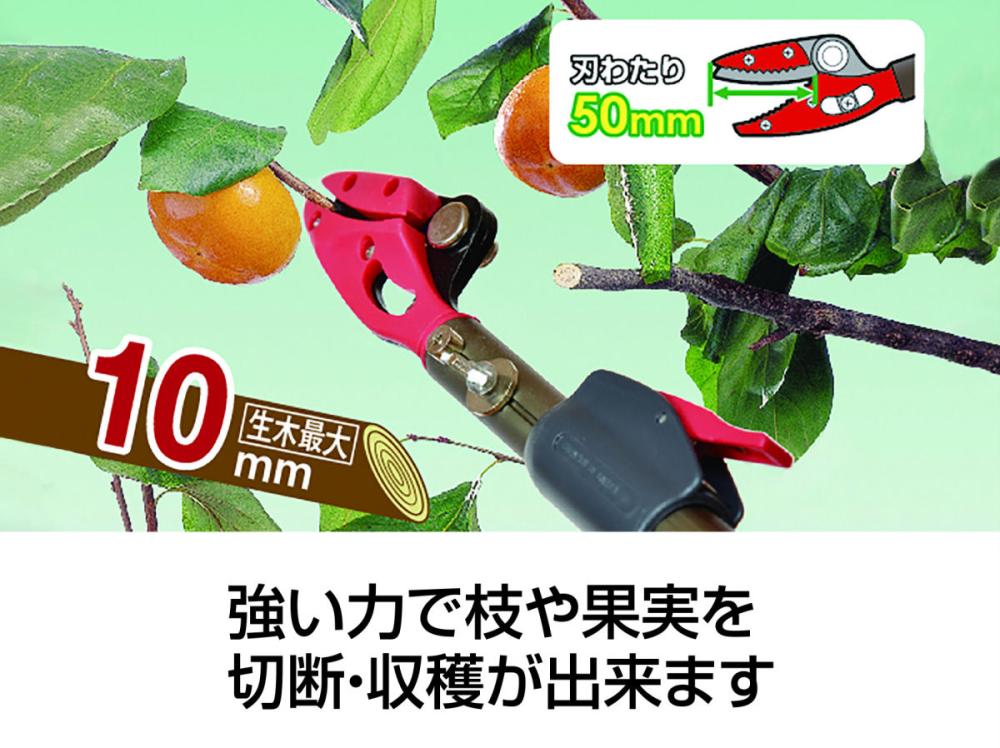 軽量伸縮高枝切鋏　万能刃１．８－３．０ｍ