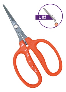 近正　ステンフッ素ぶどう鋏Ｌ　Ｂ－５００ＳＬＦ