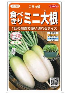 ダイコン種子　食べきりミニ大根　ころっ娘