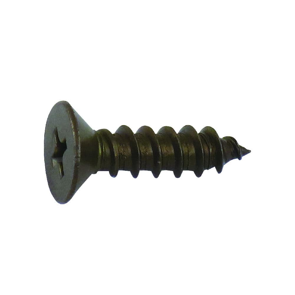 ＨＰ　ステンブロンズタッピング　皿　５×１６　８本