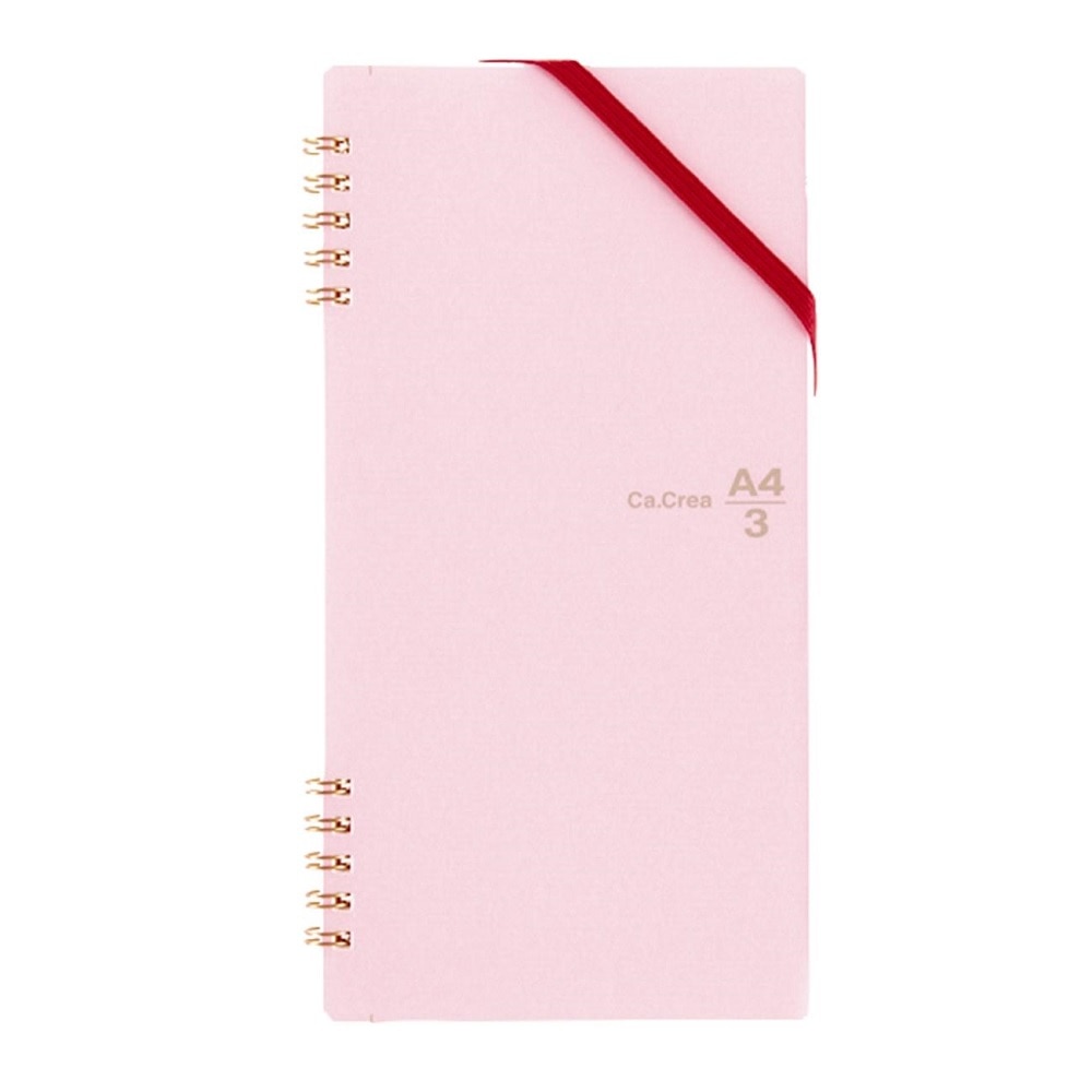 プラス　カクリエ　　リングメモ　こすもす