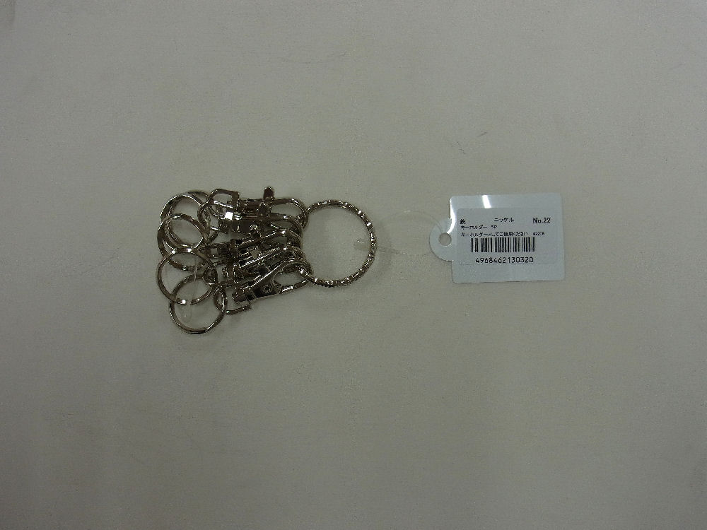 ニッケル　キーホルダー　５Ｐ　Ｎｏ２２