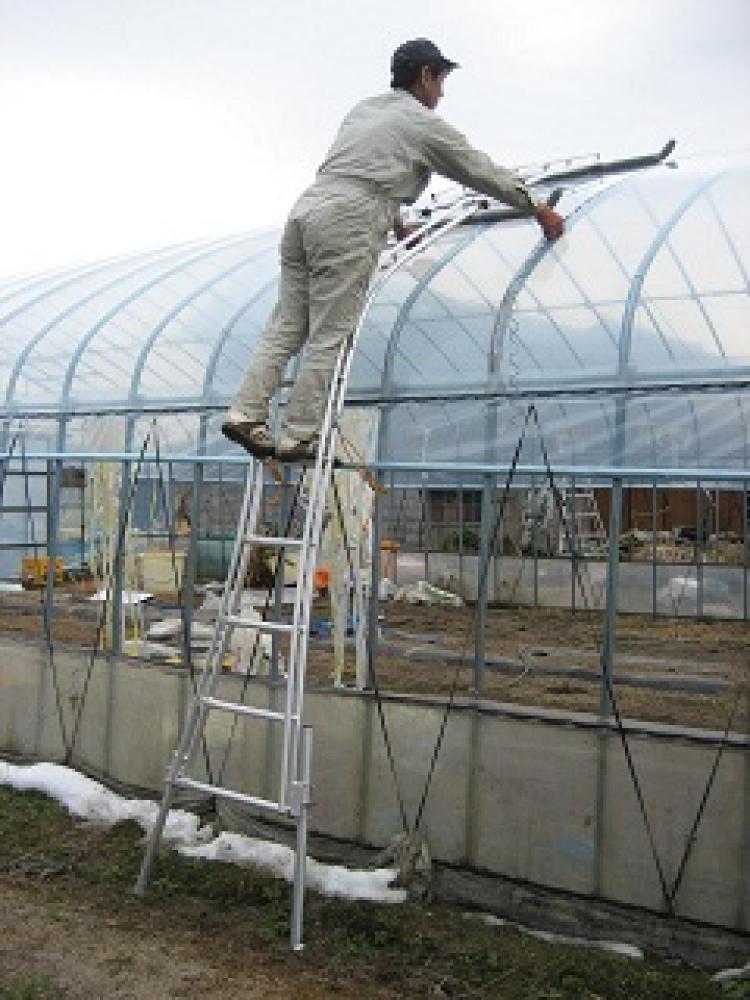 ビニールハウス専用梯子セレクトフィットＳＦ－５００