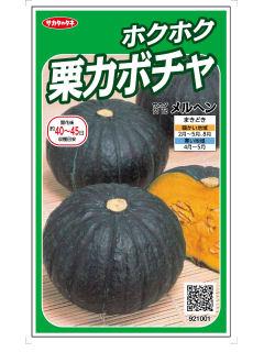 ほくほく栗かぼちゃ　メルヘン