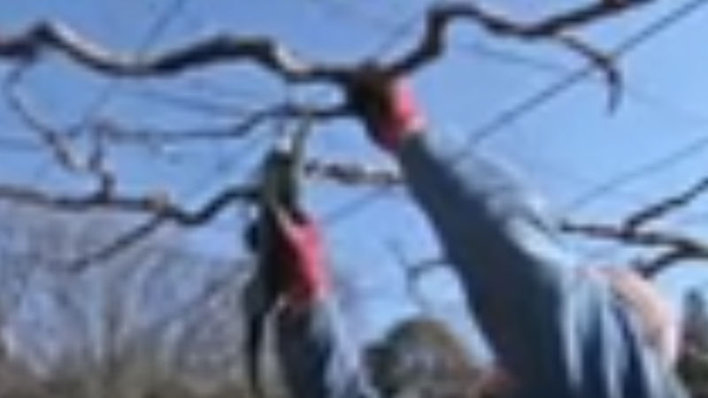 商品動画サムネイル