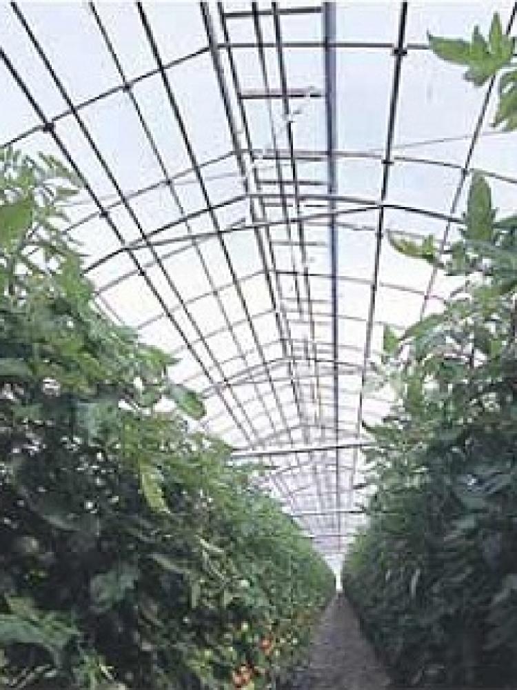 農業用ＰＯフィルム　ダイヤスターＵＶカット　厚み０．１５ｍｍ×巾２７０ｃｍ（オーダー加工品）