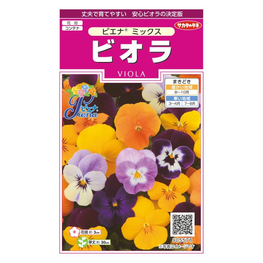 ビオラ　ピエナ　ミックス