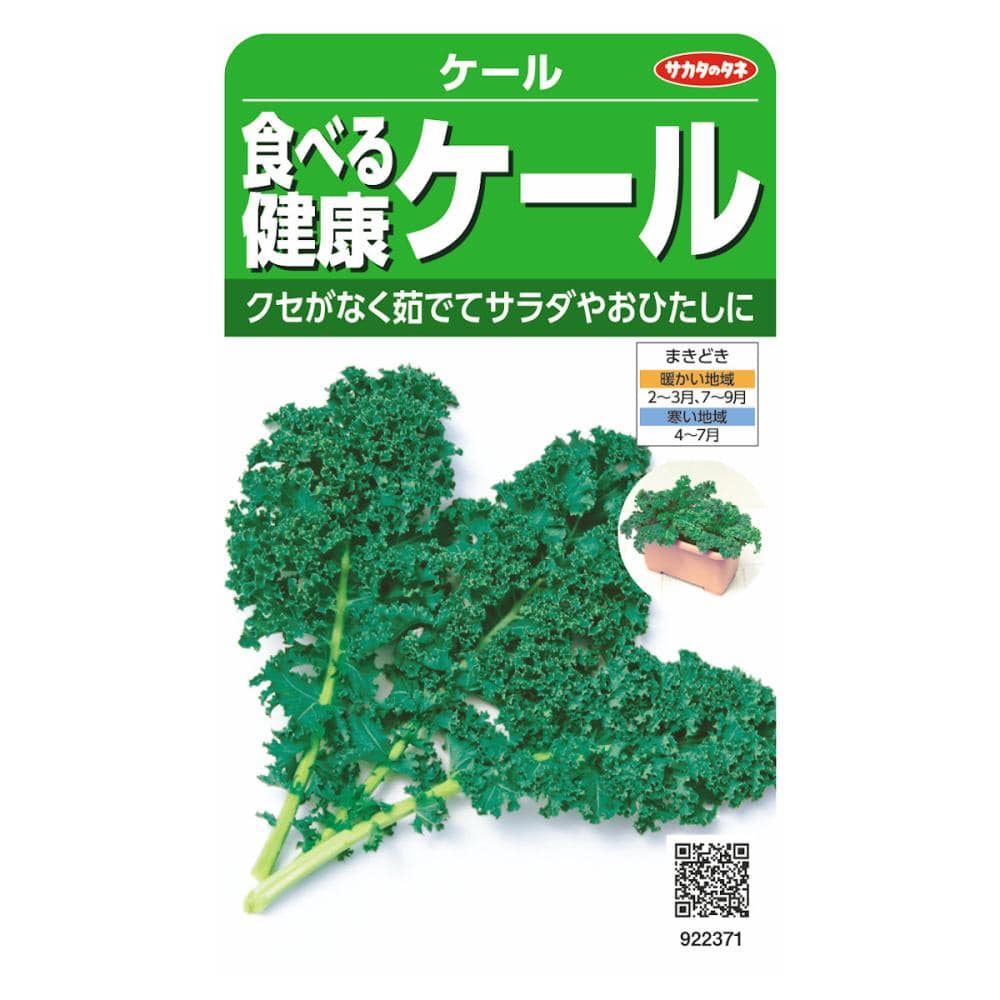 葉菜種子　食べる健康ケール