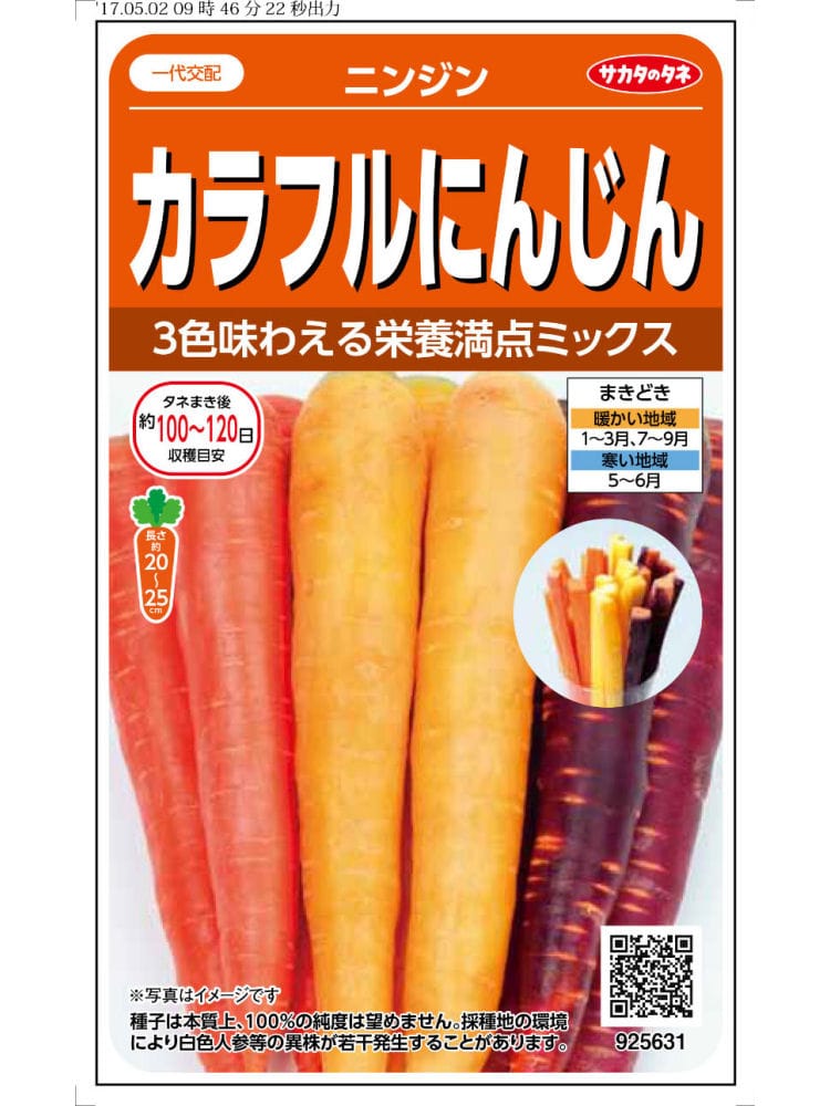 ニンジン種子　カラフルにんじん