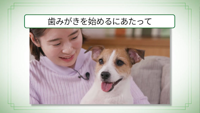 商品動画サムネイル