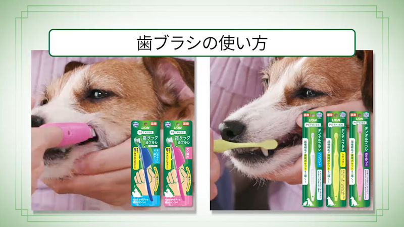 商品動画サムネイル