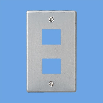 パナソニック　フルカラー新金属プレート　２コ用　ＷＮ７５０２０１０