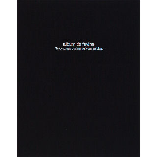 ナカバヤシ　１００年台紙アルバム　ドゥファビネ　アＨＡ４Ｄ１６１Ｄ